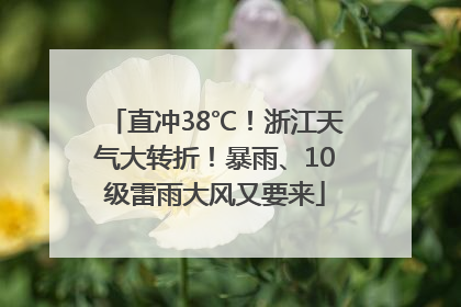 直冲38℃！浙江天气大转折！暴雨、10级雷雨大风又要来