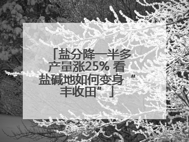 盐分降一半多 产量涨25% 看盐碱地如何变身“丰收田”