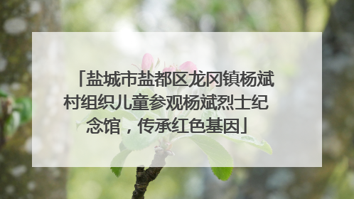 盐城市盐都区龙冈镇杨斌村组织儿童参观杨斌烈士纪念馆，传承红色基因