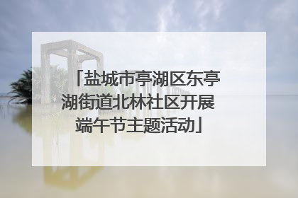 盐城市亭湖区东亭湖街道北林社区开展端午节主题活动