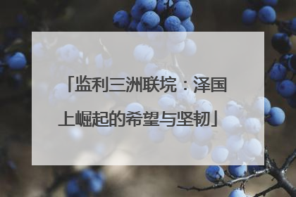 监利三洲联垸：泽国上崛起的希望与坚韧