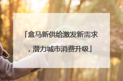 盒马新供给激发新需求，潜力城市消费升级
