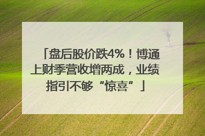 盘后股价跌4%！博通上财季营收增两成，业绩指引不够“惊喜”