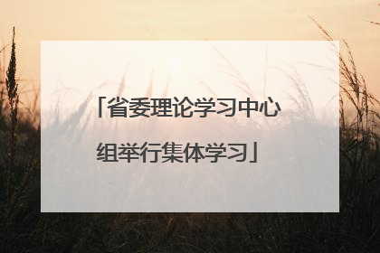 省委理论学习中心组举行集体学习
