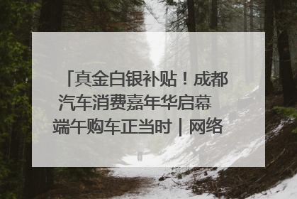 真金白银补贴！成都汽车消费嘉年华启幕 端午购车正当时｜网络中国节·端午