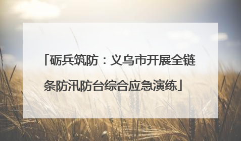 砺兵筑防：义乌市开展全链条防汛防台综合应急演练