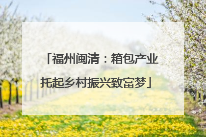 福州闽清：箱包产业托起乡村振兴致富梦