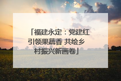 福建永定：党建红引领果蔬香 共绘乡村振兴新画卷