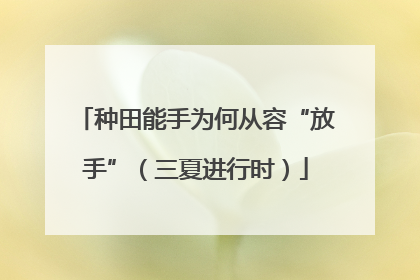种田能手为何从容“放手”（三夏进行时）