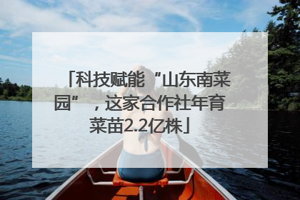 科技赋能“山东南菜园”，这家合作社年育菜苗2.2亿株