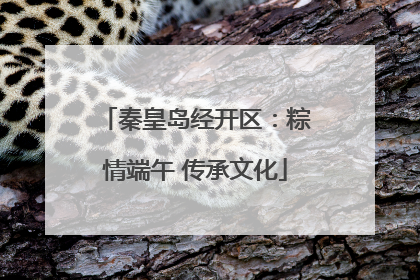 秦皇岛经开区：粽情端午 传承文化