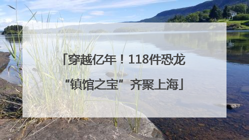 穿越亿年！118件恐龙“镇馆之宝”齐聚上海