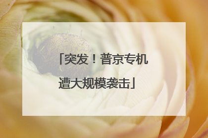 突发！普京专机遭大规模袭击