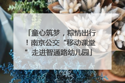 童心筑梦，粽情出行！南京公交“移动课堂”走进智通路幼儿园