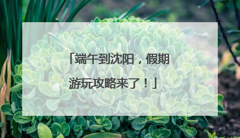 端午到沈阳，假期游玩攻略来了！