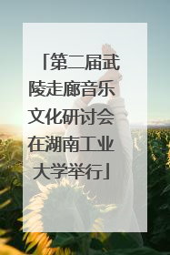 第二届武陵走廊音乐文化研讨会在湖南工业大学举行