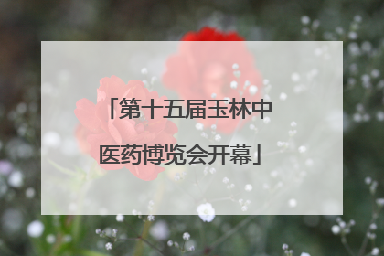 第十五届玉林中医药博览会开幕
