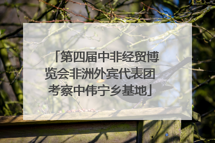 第四届中非经贸博览会非洲外宾代表团考察中伟宁乡基地