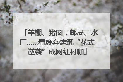 羊棚、猪圈，邮局、水厂……看废弃建筑“花式逆袭”成网红村咖