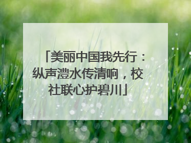 美丽中国我先行：纵声澧水传清响，校社联心护碧川