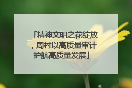 精神文明之花绽放，周村以高质量审计护航高质量发展