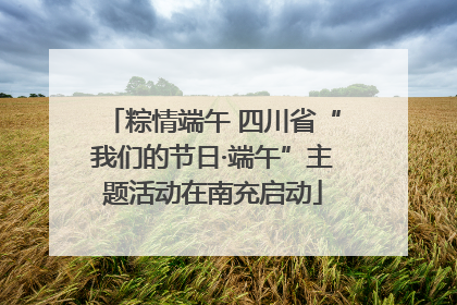 粽情端午 四川省“我们的节日·端午”主题活动在南充启动