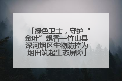 绿色卫士，守护“金叶”飘香—竹山县深河烟区生物防控为烟田筑起生态屏障