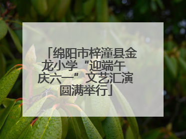 绵阳市梓潼县金龙小学“迎端午 庆六一”文艺汇演圆满举行