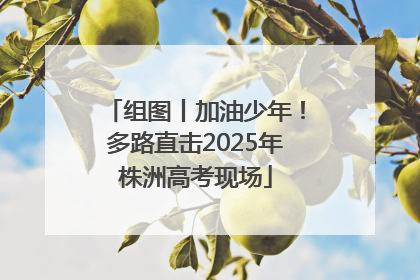组图丨加油少年！多路直击2025年株洲高考现场