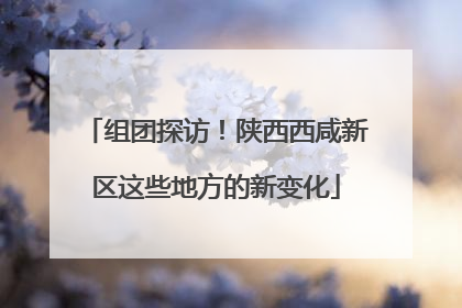 组团探访！陕西西咸新区这些地方的新变化