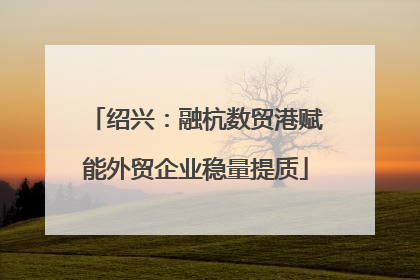 绍兴：融杭数贸港赋能外贸企业稳量提质