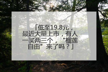 低至19.8元，最近大量上市，有人一买两三个，“榴莲自由”来了吗？