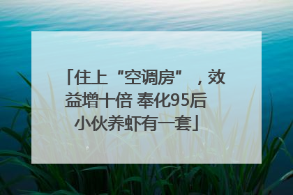 住上“空调房”，效益增十倍 奉化95后小伙养虾有一套