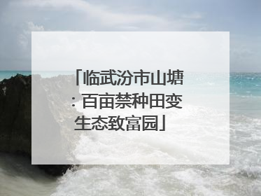临武汾市山塘：百亩禁种田变生态致富园