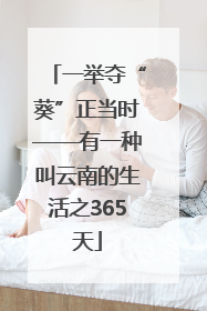 一举夺“葵”正当时——有一种叫云南的生活之365天