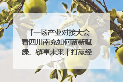 一场产业对接大会 看四川南充如何聚新赋绿、链享未来｜打赢经济发展翻身仗