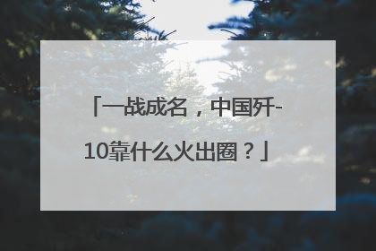 一战成名，中国歼-10靠什么火出圈？
