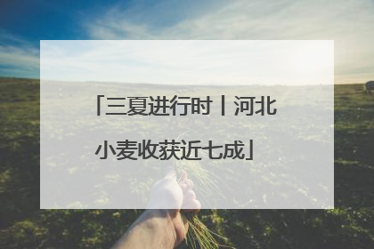 三夏进行时丨河北小麦收获近七成