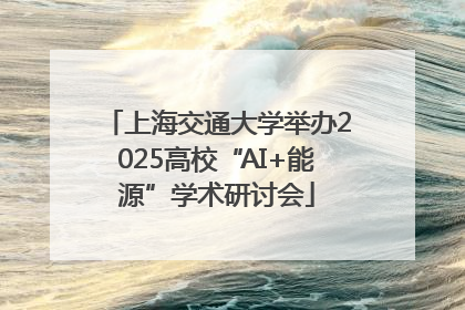上海交通大学举办2025高校“AI+能源”学术研讨会