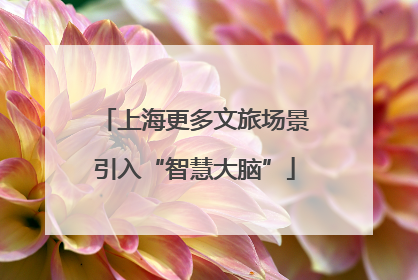 上海更多文旅场景引入“智慧大脑”