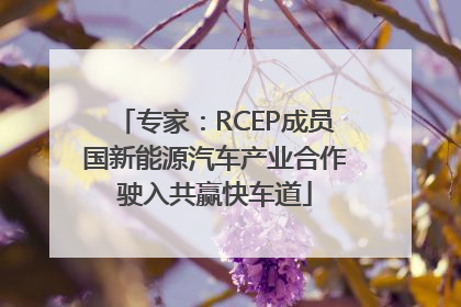 专家：RCEP成员国新能源汽车产业合作驶入共赢快车道