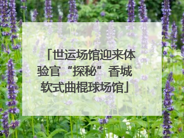 世运场馆迎来体验官“探秘”香城软式曲棍球场馆