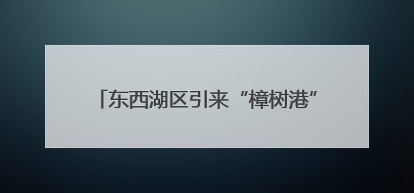 东西湖区引来“樟树港” 江夏区种下“襄辣王” 两颗辣椒的“对话”