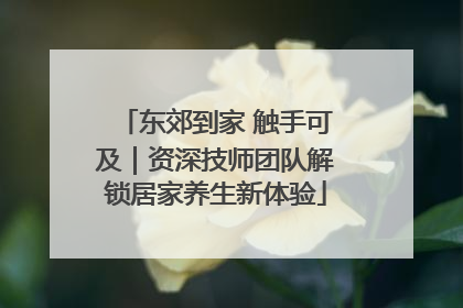 东郊到家 触手可及｜资深技师团队解锁居家养生新体验