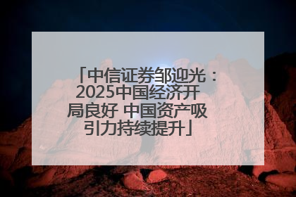 中信证券邹迎光：2025中国经济开局良好 中国资产吸引力持续提升