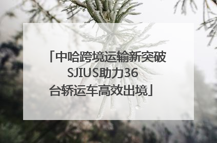 中哈跨境运输新突破 SJIUS助力36台轿运车高效出境
