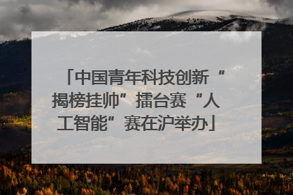 中国青年科技创新“揭榜挂帅”擂台赛“人工智能”赛在沪举办