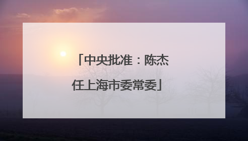 中央批准：陈杰任上海市委常委