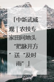 中新武威观｜农技专家田间地头“把脉开方”送“及时雨”