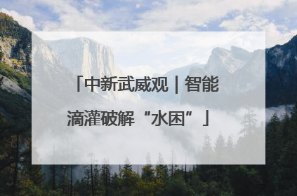 中新武威观｜智能滴灌破解“水困”
